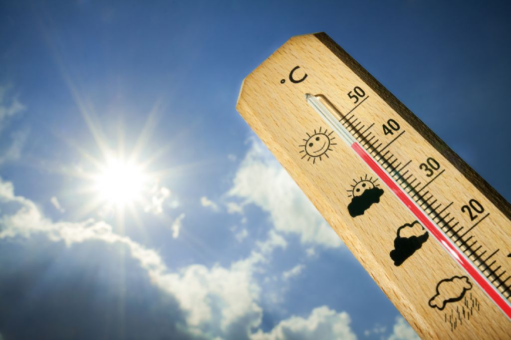 13312615caldo torrido